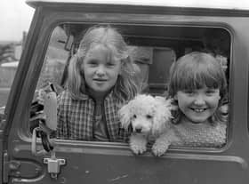 Susan Miller of Co Meath and Pennie Martin of Newtownards with Sukie the Poodle watching the competitions at the Ulster Pony Society Show at Balmoral, Belfast, in July 1982. Picture: News Letter archives