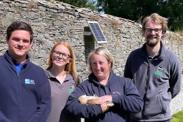 Mark McCormick from RSPB NI and Katy Bell and Ross McIlwrath from Ulster Wildlife, join Dawn Stocking from Ballycruttle Farm to help ring the new barn owl chicks. Both charities have been working closely with Ballycruttle Farm to help improve hunting territory for this priority species and installing next boxes to provide a safe place for the birds to breed.