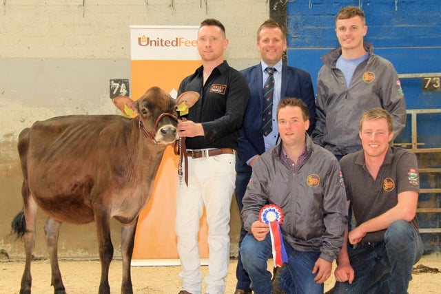 The supreme champion Jersey at the 19th multi-breed dairy calf show, held at Dungannon, was Treasure Adreas Fernleaf ET owned by the Sizzler Syndicate, Rory Timlin, Mark Henry, Andrew Kennedy and David Simpson. They were congratulated by judge Sam Wake. Picture: Julie Hazelton