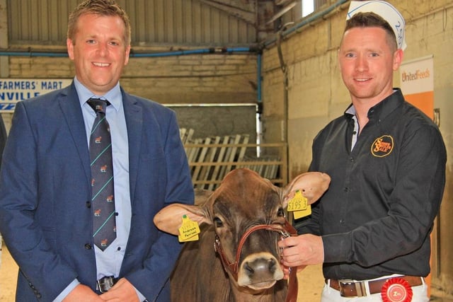 Rory Timlin exhibited the first placed September 2021 born calf Treasure Adreas Fernleaf ET. Also pictured is judge Sam Wake. Picture: Julie Hazelton