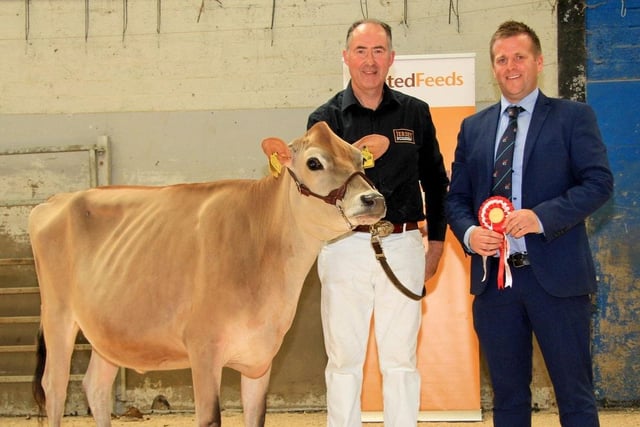 Potterswalls Jordan Martha, exhibited by Ashley Fleming, Seaforde, won the honourable mention award at the 19th multi-breed dairy calf show, held at Dungannon. Included is judge Sam Wake. Picture: Julie Hazelton