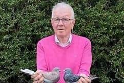 Danny Dixon with his 2nd and 3rd MAC birds from Fermoy