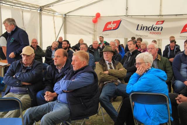 Pedigree and commercial Aberdeen Angus breeders travelled from throughout the Province to attend the open day at Tyrella. Picture: Julie Hazelton