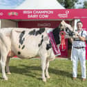 Pictured at the 2022 Diageo Baileys Champion Cow at the Virginia Show are John and Sam McCormick owner of Hilltara Undenied Apple VG89 who is the 2022 overall champion as well as Junior Cow winner.  Picture: Finbarr O'Rourke
