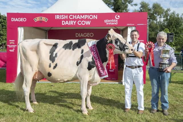 Pictured at the 2022 Diageo Baileys Champion Cow at the Virginia Show are John and Sam McCormick owner of Hilltara Undenied Apple VG89 who is the 2022 overall champion as well as Junior Cow winner.  Picture: Finbarr O'Rourke