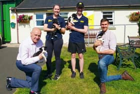 John Blair MLA and Patrick Brown MLA are pictured with four collie puppies