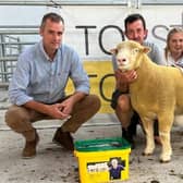Overall champion pictured with Ben lamb, sponsor Mark Crawford, Topflock and judge Ellen McClure