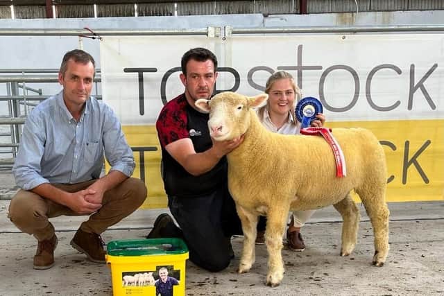 Reserve and opposite sex to champion pictured with Peter lamb, sponsor Mark Crawford, Topflock and judge Ellen McClure