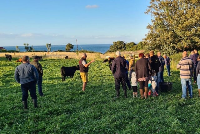 NI Dexter Cattle Group members viewing the Ballyboley herd whilst overlooking the Irish Sea