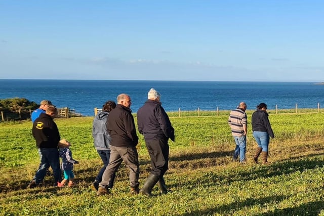 NI Dexter Cattle Group members where treated to scenic views of the Irish Sea at Orlock Farm, home of Ballyboley Dexters