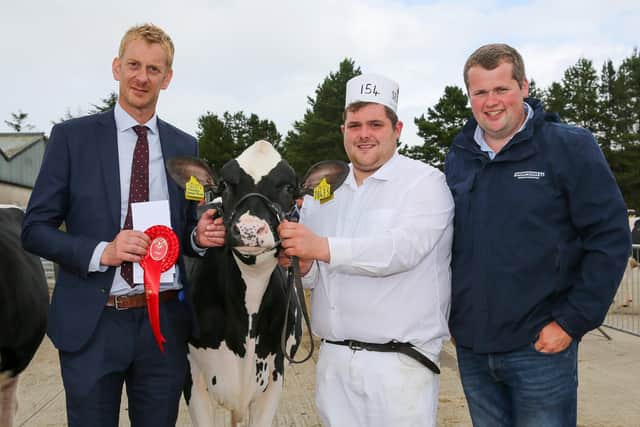 Winner of class 10, Priestland 7043 Master James Rose, exhibited by Matthew Mclean, pictured with David Hodgson, judge and Phil Donaldson, Thomspsons, sponsor