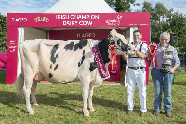 24/8/22
PIctured at the 2022 Diageo Baileys Champion Cow at the Virginia Show are John and Sam McCormick owner of Hilltara Undenied Apple VG89 who is the 2022 overall champion as well as Junior Cow winner.
Picture:  Finbarr Oâ€TMRourke
NO REPRO FEE