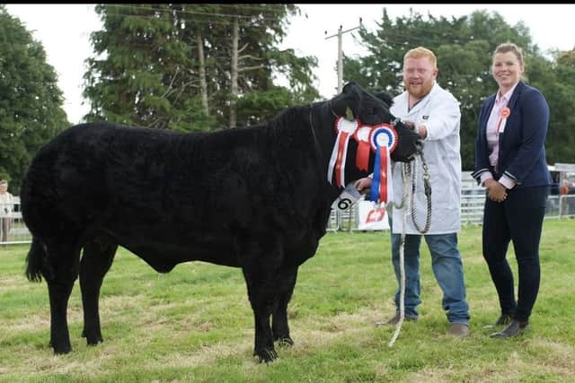 Exhibitor Chrissy McCrea pictured with his black limousin heifer at Clogher Show after winning the supreme champion.