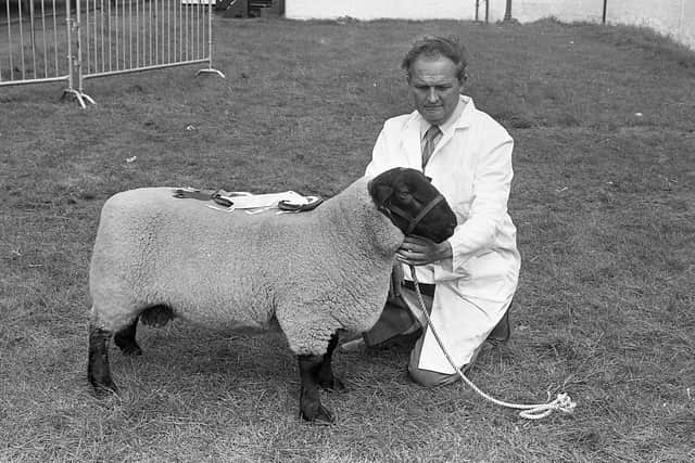 Mr Thomas Killick from Bangor with his Suffolk reserve champion ram at the breed show and sale at Balmoral in August 1982. Picture: Farming Life/News Letter archives