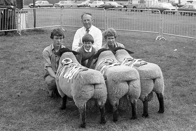 Wilson McCracken, Rasharkin, Ballymena, with his champion group of ram lambs, held by Stephen Milligan, Alastair Morrison, his grandson, and Thomas Cooper at the Suffolk breed show and sale at Balmoral in August 1982. Picture: Farming Life/News Letter archives