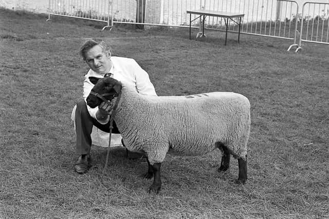 Mr William Montgomery from Newtownards with his first prize ewe lamb and reserve female champion at the Suffolk sheep breed show and sale at Balmoral. Picture: Farming Life/News Letter archives
