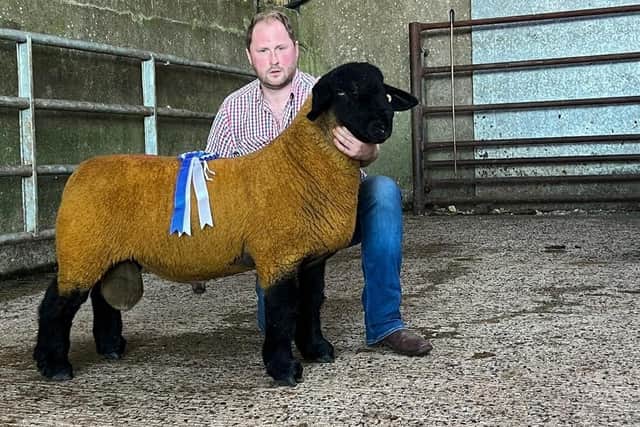 2nd Prize Ram Lamb & Reserve Champion from N Robinson sold for 600gns
