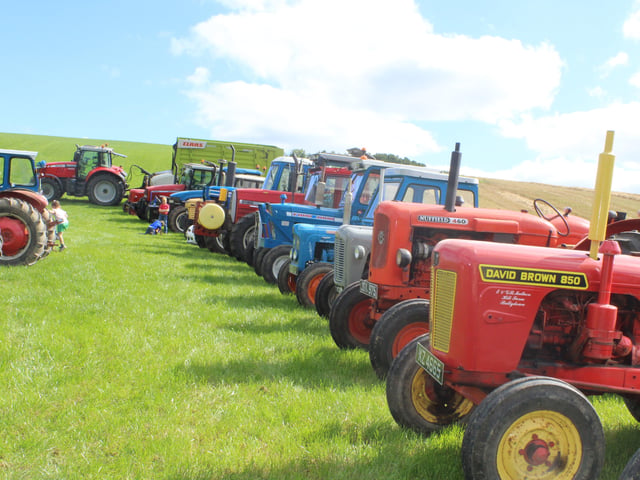 Several tractors on show at the threshing day last Saturday