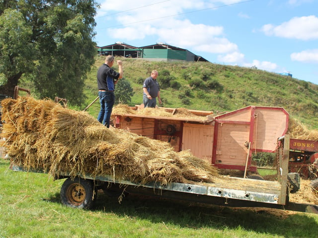 A view of the threshing at Ballydown