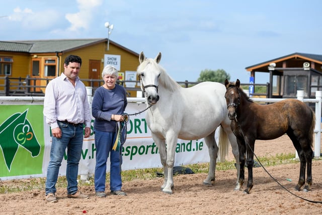 Pony Eventing Winner, Owner: Helen Troughtan, Sire Masurenfuerst (TRAK), Dam, Honeywell Freedom (CP)