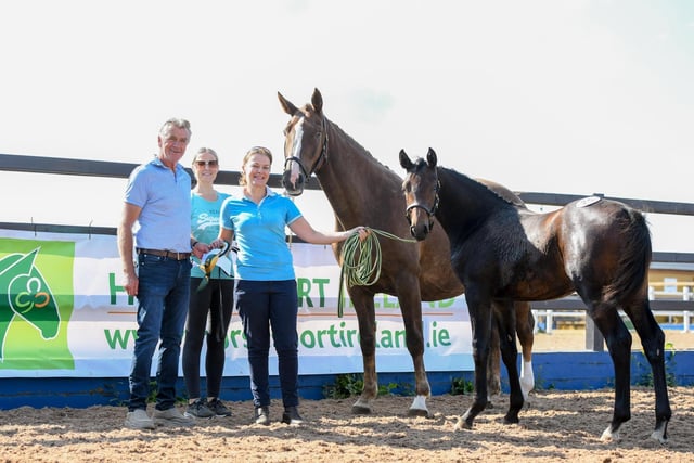 Horse Showjumping Winner, Owner: Edel Reel, Sire: Pegase Vanâ€TMt Ruytershof (BWP), Dam: Carnally Lavender Belle (ISH)