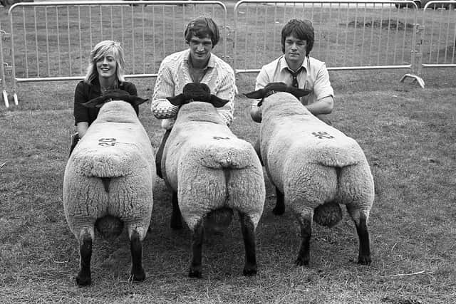 David Duncan, right, Largy Road, Crumlin, with his second prize group of Suffolk ram lambs at the breed show and sale at Balmoral in August 1982. He is helped by Janet Boles and George Arthurs. Picture: Farming Life/News Letter archives