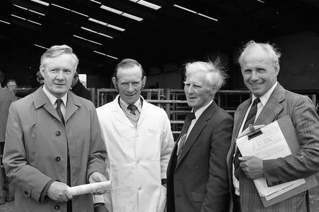 Robert Wallace, Ulster Bank, Robert Bell, chairman of the NI Large White Pig Breeders’ Club, Paddy Mullan, Garvagh, the judge, and Walter Williams, the club secretary, pictured in August 1982 at show and sale of Large White pedigree pigs which was held at Cookstown. Picture: Farming Life/News Letter archives