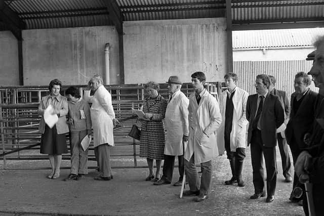 Part of the crowd at a show and sale of Large White pedigree pigs which was held at Cookstown in August 1982. Picture: Farming Life/News Letter archives