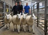 Second prize shearling ewes - B and E Latimer - £265