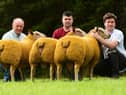 Hollylodge Rams secured the top price at the August Bank Holiday Charollais sale in Ballymena Market, selling to a top of 800gns