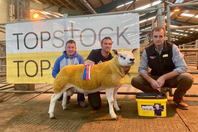 Judge Frank Clewer and Sponsor Mark Crawford hand over generous sponsorship and the Farmcare Champion Rosette to Adrian Liggett Corbo Flock at the NI Texel Sheep Breeder’s Club Show & Sale in Enniskillen.