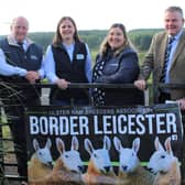 URBA Border Leicester show and sale on 26th September in Ballymena Livestock Market is sponsored by Alan Carson, ASC Farm Services, Louise Parke, Fane Valley Stores, Carol McMullan, Danske Bank and Thomas Harkin, Thompson Feeding Innovation who the association is gratefully indebted to