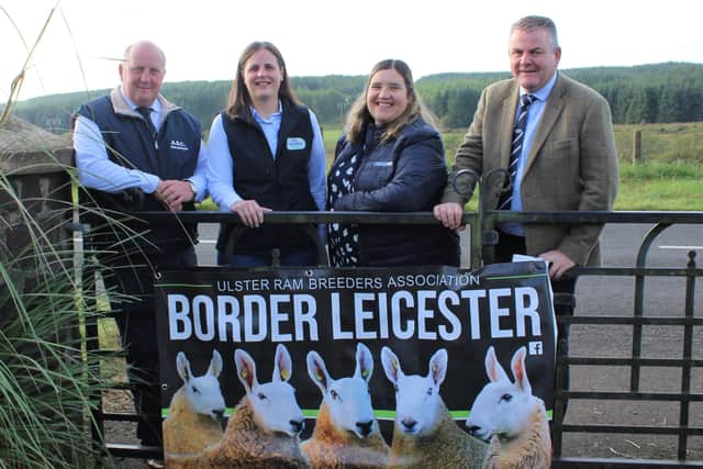 URBA Border Leicester show and sale on 26th September in Ballymena Livestock Market is sponsored by Alan Carson, ASC Farm Services, Louise Parke, Fane Valley Stores, Carol McMullan, Danske Bank and Thomas Harkin, Thompson Feeding Innovation who the association is gratefully indebted to