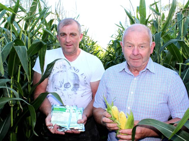 Discussing the prospects for this year's forage maize crops: FrankFoster, BioSil (Right) with Ballymena dairy farmer David McBurney.