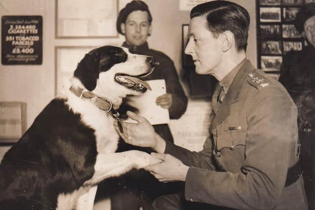 Rob received the PDSA Dickin Medal for Gallantry. Image: Noonans