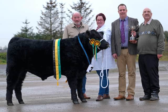 Looking back to 2019: Gemma Parke exhibited Coolermoney Ranger the Bull Calf Champion and Overall Champion at the  Northern Ireland Aberdeen Angus Club's Annual Calf Show in Dungannon. Included are Mac Crowe, Irish Aberdeen Angus Association, sponsor; Niall Lynch, Kells, judge; and Adrian Parke, Strabane. Photograph: Columba O'Hare/Newry.ie