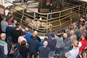 A packed ring at the Raphoe Mart Hoggett Show and Sale. Photo: Clive Wasson