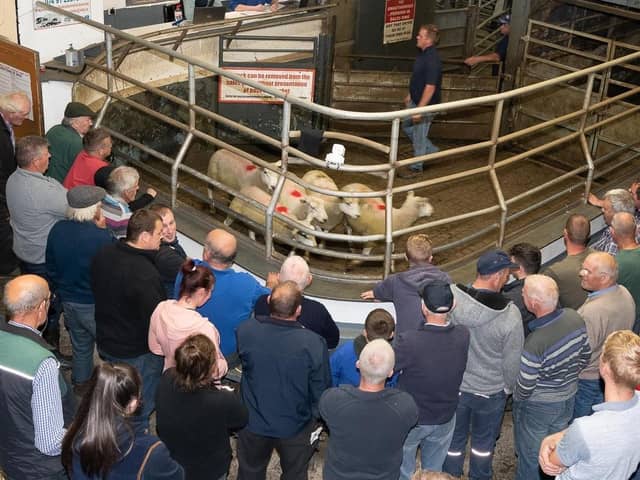 A packed ring at the Raphoe Mart Hoggett Show and Sale. Photo: Clive Wasson