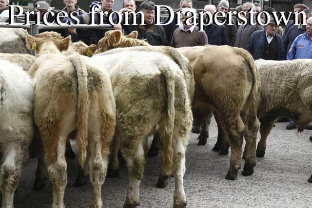 Judges look over the enteries at Draperstown Mart.PICTURE KEVIN MCAULEY PHOTOGRAPHY MULTIMEDIA