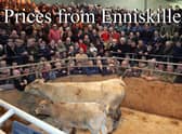 The sales ring at the  Ulster Farmers'  Mart,  Enniskillen, was packed to capacity this week for the dispersal of the Lisgoole Abbey suckler herd.