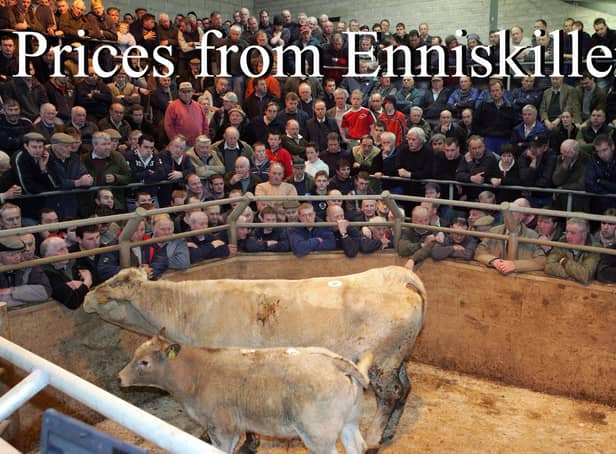 The sales ring at the  Ulster Farmers'  Mart,  Enniskillen, was packed to capacity this week for the dispersal of the Lisgoole Abbey suckler herd.