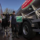 Dairy farmer Peter Hynes