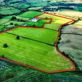 Lands off Cloghan Road, Richhill, Portadown. Image: Baird Real Estate