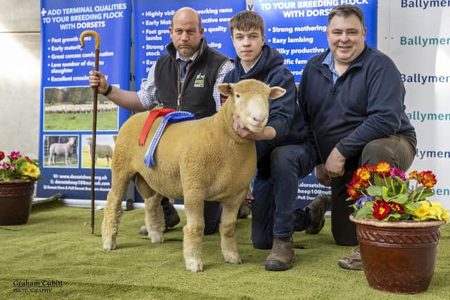 Breeders Thomas and Sam Wright alongside the judge Jeremy Durrant and Reserve Champion Ballytaggart Immense.