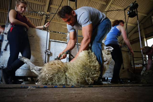 Taking part in a shearing course image. Pic: Ulster Wool
