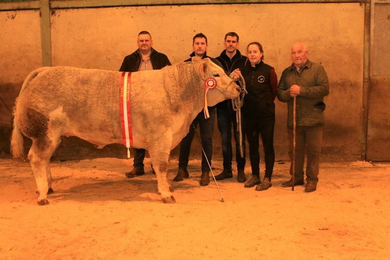 House wife's choice exhibited by Arthur and Alise Callaghan- left to right Ivan Lynn (Judge), Athur and Alise Callaghan, sponsor Christopher Walls (Joseph Walls Ltd) and John Farnon (mart manager). Picture: Submitted