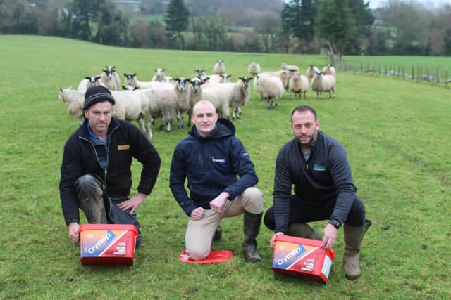 Discussing the benefits of Crystalyx High Energy Feed Blocks for sheep: l to r: Liam Strain, Burnfoot, Co Donegal; Luke Morgan, Caltech: Crystalyx and John Hegarty, Inishowen Co-op