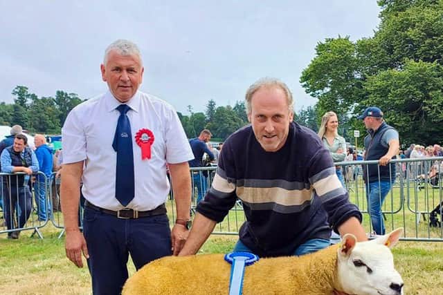 Millburn Texel flock success at Castlewellan Show