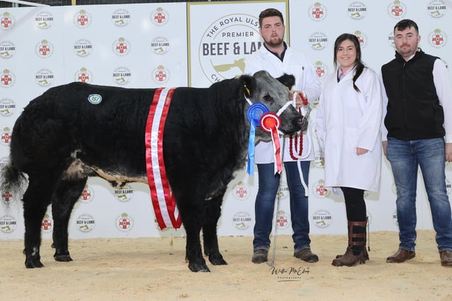 The Reserve Champion British Blue at the 2022 Royal Ulster Beef & Lamb Championships was presented to Conor Small from Kilkeel. Pictured (L-R) Gary McClelland, Jamie McClelland and Conor Small.