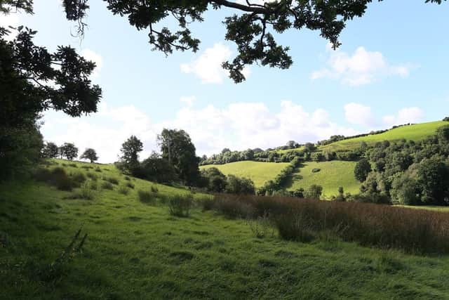 Hedgerows and rolling hills, typical of the Northern Ireland landscape. Photo by Tracy Dorman